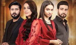 First Look, Start Date, Cast & Storyline of HUM TV's Upcoming Drama Woh Ziddi Si