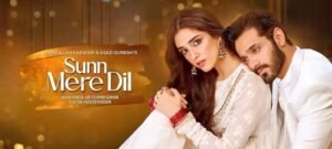 Sunn Mere Dil Episode 1: Wahaj Ali & Maya Ali Starrer Takes A Promising Start